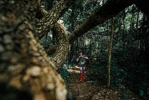 BIB: 
                            <button type="button" onclick="openModal(25704553)" class="btn btn-primary btn-sm float-right btn-popup" data-toggle="modal" data-target=".modal-high-quality">
                        <i class="fas fa-shopping-cart"></i> Add to Cart
                    </button>
                                            <button type="button" onclick="isThisMe(25704553, true)" class="btn btn-success btn-sm float-right btn-popup btn-isme hidden" data-toggle="tooltip" data-placement="bottom" title="นี่คือรูปของคุณใช่ไหม คลิกที่นี่เพื่อเอาเข้าอัลบั้ม">
                        <i class="fas fa-plus"></i> Add to album
                    </button>
                    <button type="button" onclick="isThisMe(25704553, false)" class="btn btn-warning btn-sm float-right btn-popup btn-isnotme hidden">
                        <i class="fas fa-ban"></i> Remove from album
                    </button>